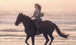 配马在线观看影片,一场跨越时空的观影之旅